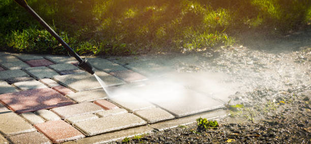 Best Solar Panel Cleaning  in Salem, NC